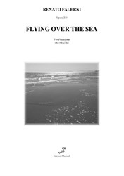 Flying over the Sea